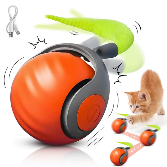 Gato jugando con la pelota interactiva con cola